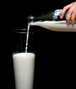 What is Lactose Intolerance?