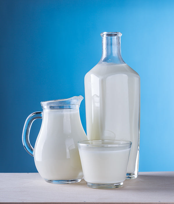 Do Probiotics help Lactose Intolerance?