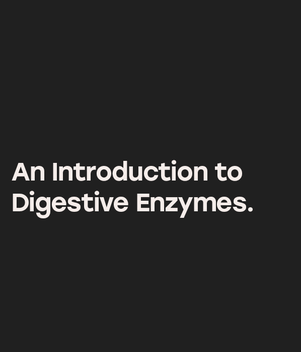 An Introduction to Digestive Enzymes