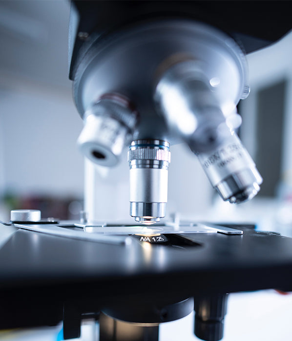 The Gut Microbiome: All You Need to Know