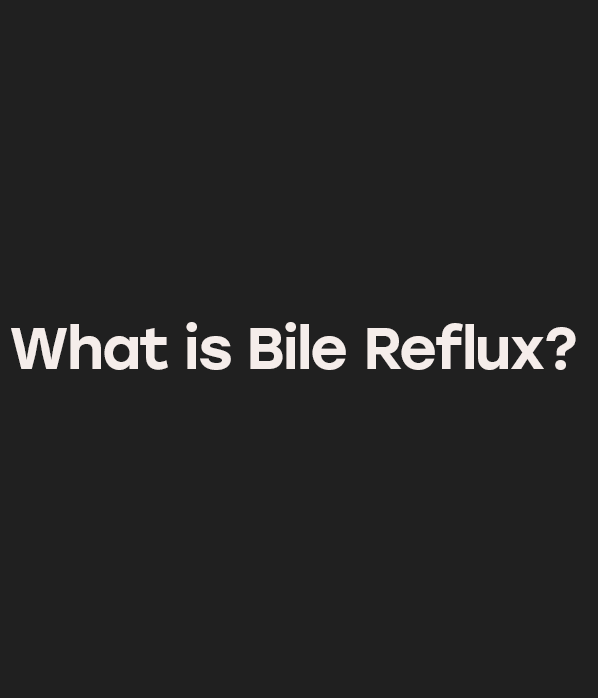 What is Bile Reflux