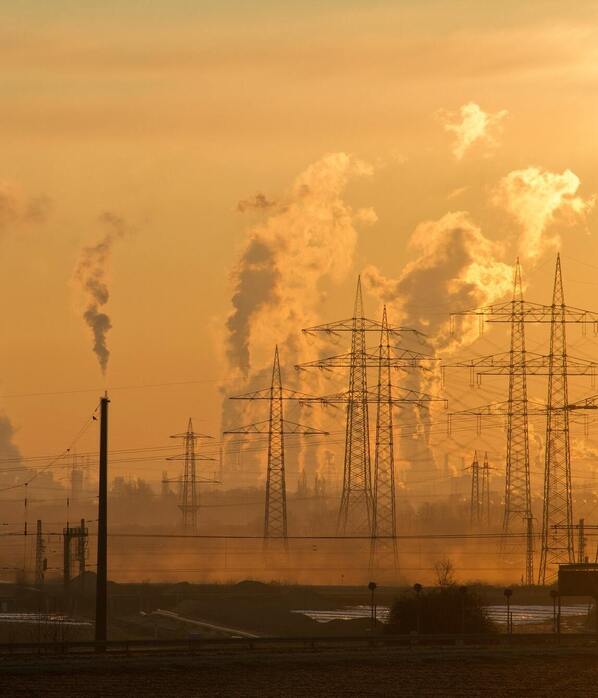 5 Ways Environmental Toxins May Be Harming Your Gut Health