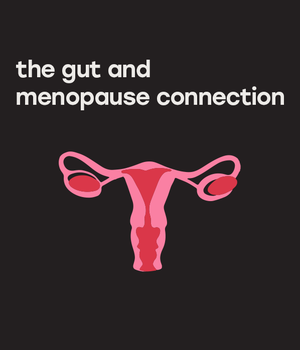 The Gut and Menopause Connection The Gut Co®