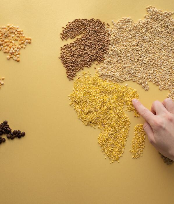 Travellers' Diarrhoea: All You Need to Know