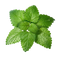 Lemon Balm <span>(75mg)</span>